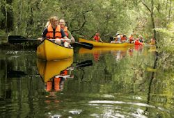 Foto zeigt junge Menschen in einer Reihe Kanus auf engem und ruhigem Fluss treibend, lichte Bewaldung und Stauden an den Ufern bilden die Flußlandschaft