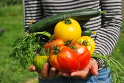 Foto: Junge Frau auf freiem Feld verschiedene Gemüse in beiden Händen tragend